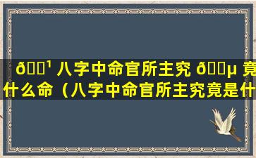 🌹 八字中命官所主究 🐵 竟是什么命（八字中命官所主究竟是什么命运）